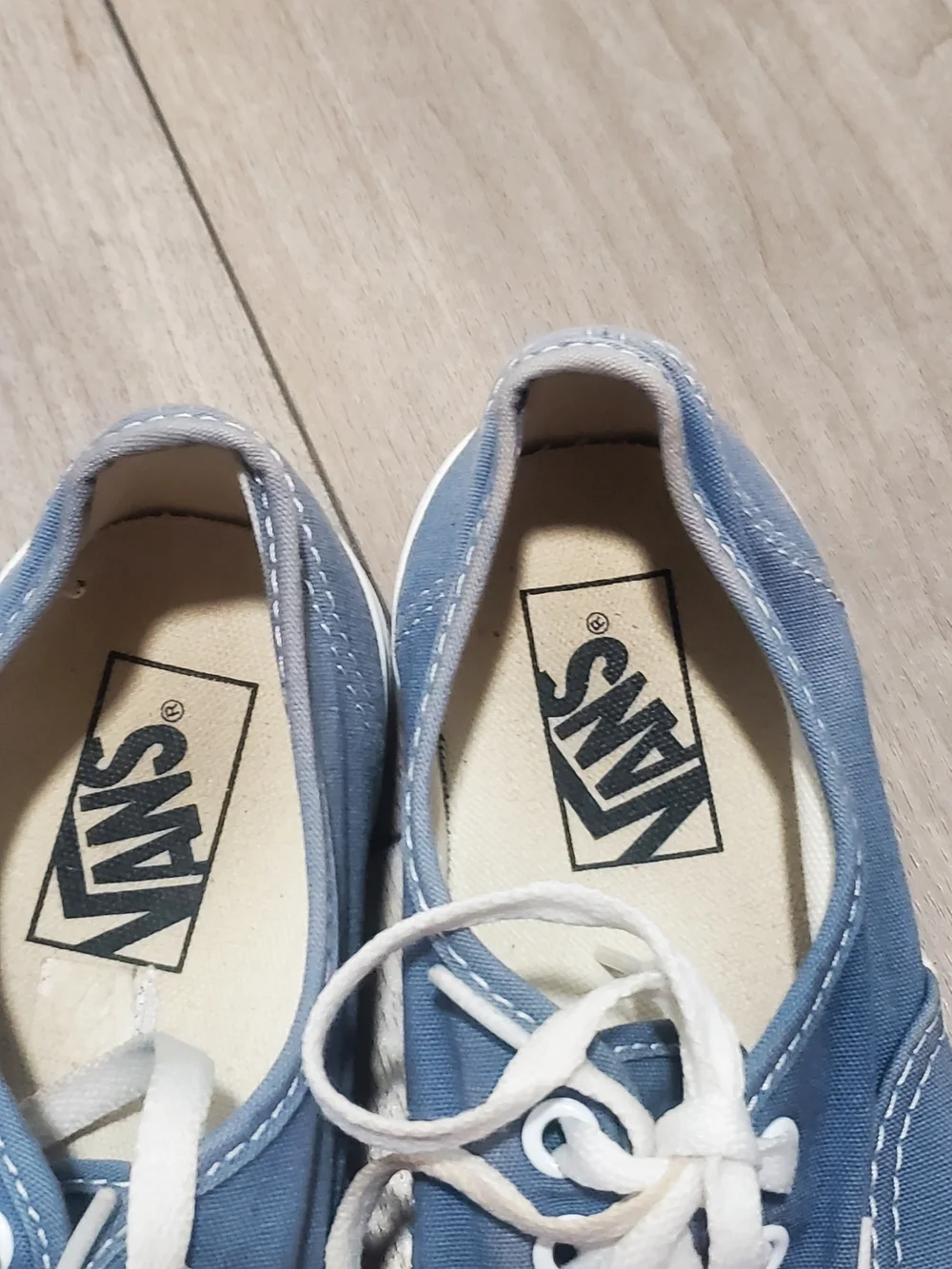 Vans Authentic Low Top Sneakers in Light Blue